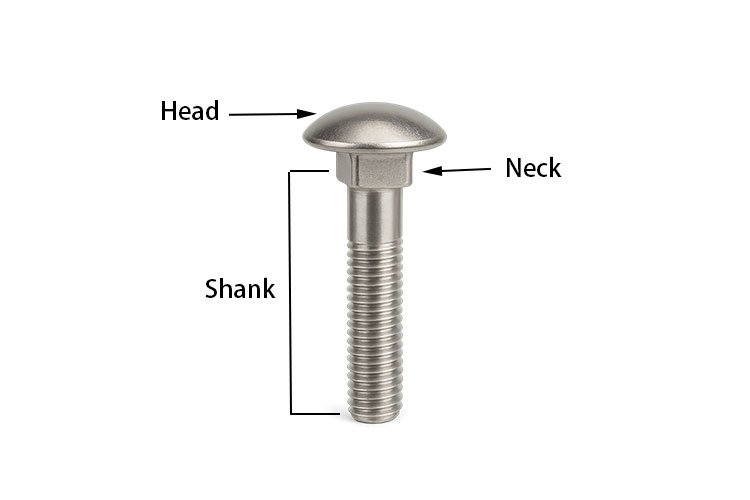 TheParts of a Carriage Bolt