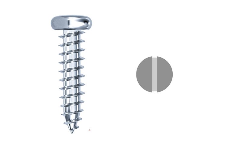 Slotted Pan Head Self Tapping Screw