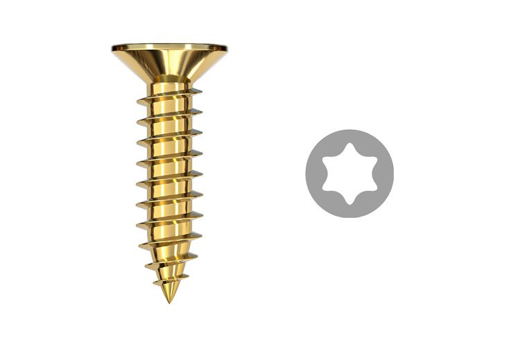 Torx Pan Head Self-Tapping Screw