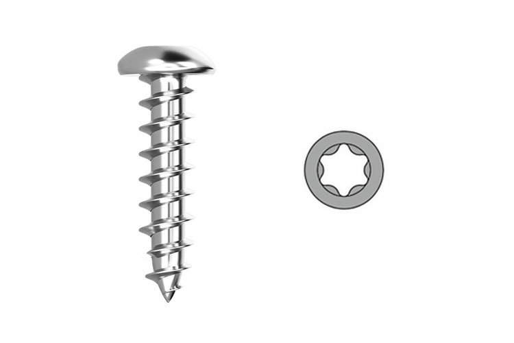 Torx Pan Head Self-Tapping Screw