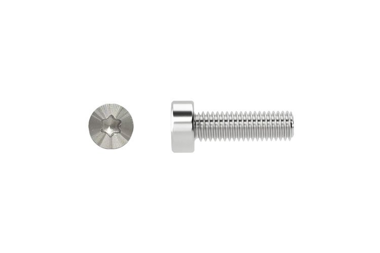 Torx Screw for Cell Phones